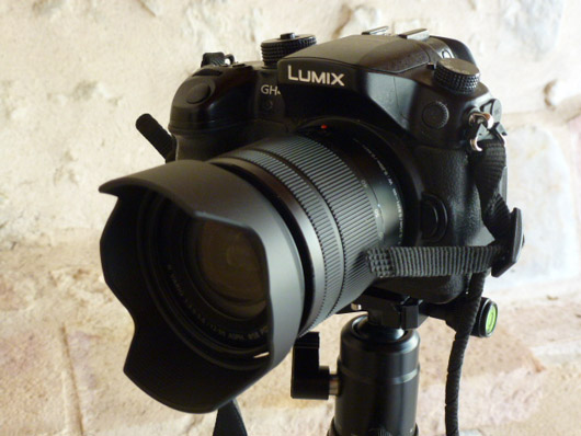 Lumix 12-60