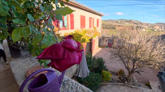 osmo action 6 macro flou