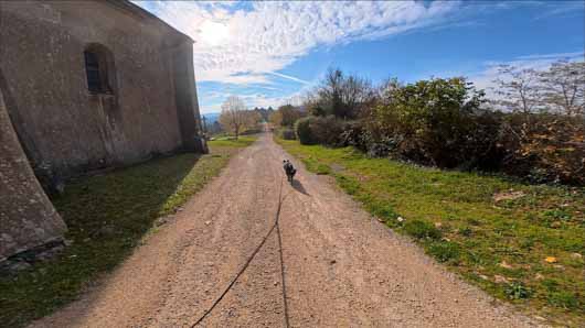 dynamlique Osmo action 6