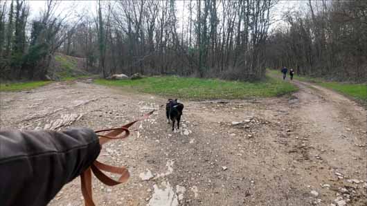 adaptateur d'extension