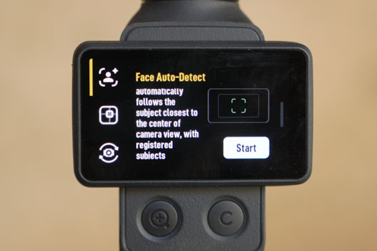 face auto-detect