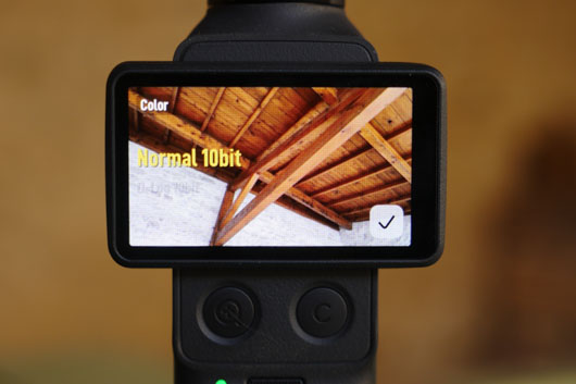 pocket 4 D-log 10 bit