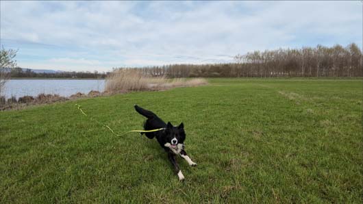 pocket 4 qualit� ralenti