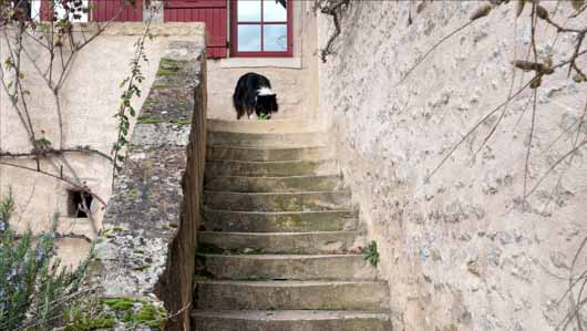 pocket 4 sans tonalit�