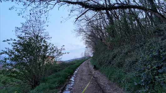 pocket 4 tomb�e nuit