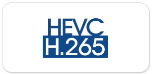 H265