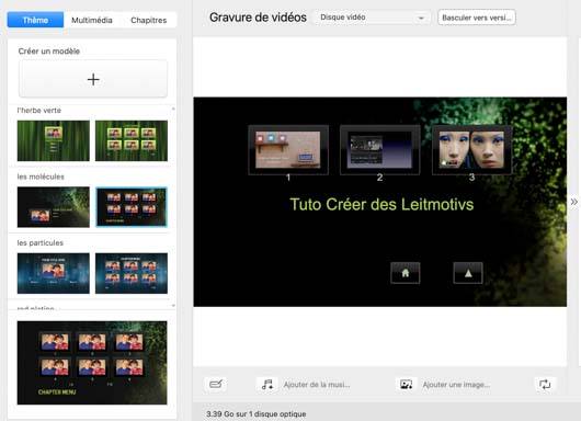 thèmes toast 20 pro
