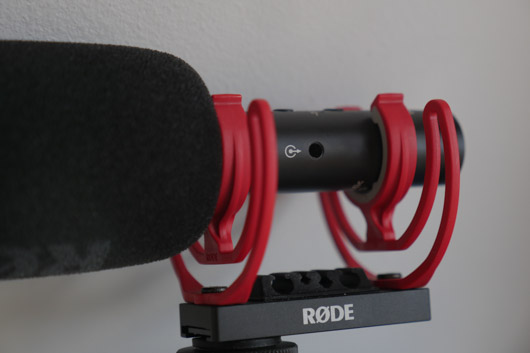 videomic NTG