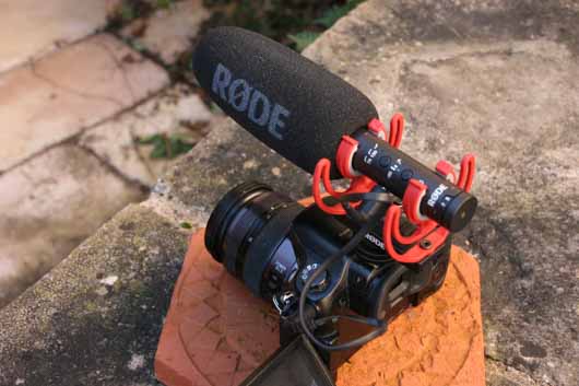 videomic NTG