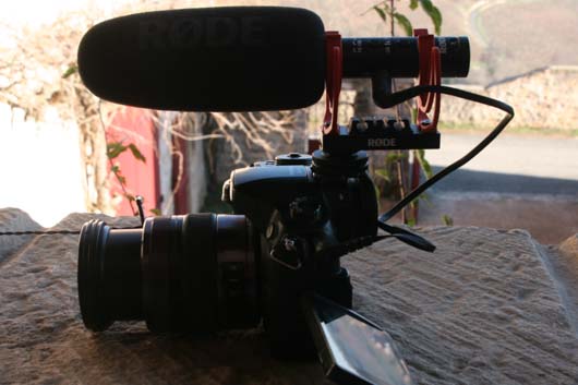 Videomic NTG