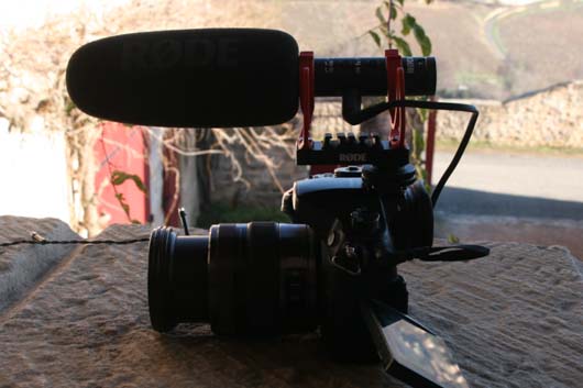 videomic NTG